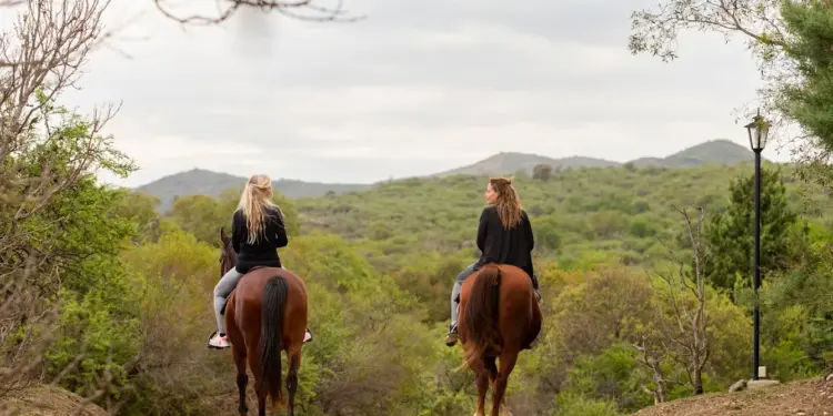 La receta de Paulina Cocina ideal para el frío