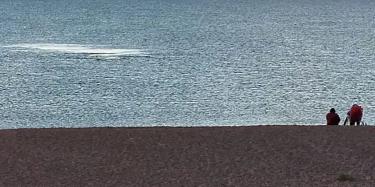 LA17 - CONECTANDO A LA PATAGONIA