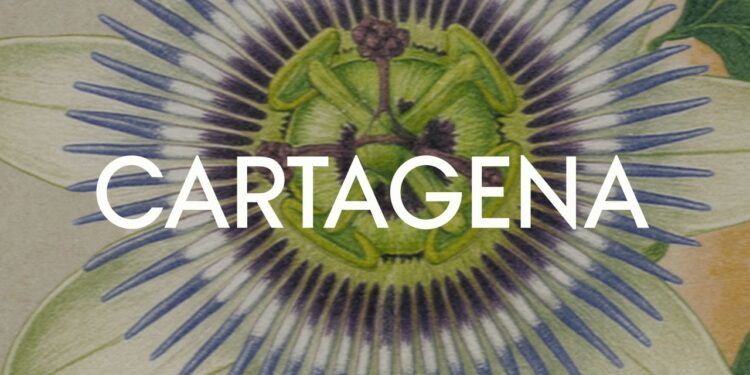 Qué hacer en Cartagena de Indias: La guía Vogue para descubrirla