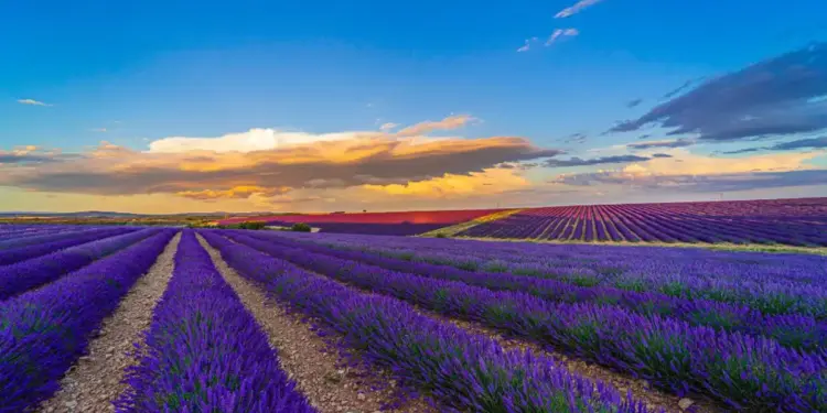 viaje al pueblo malva de Burgos