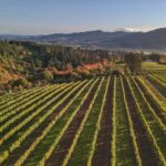 Viajes + nombres de ocio esta región de Oregon entre los principales destinos de ‘Coolcation’ en los Estados Unidos – Más Cipolletti