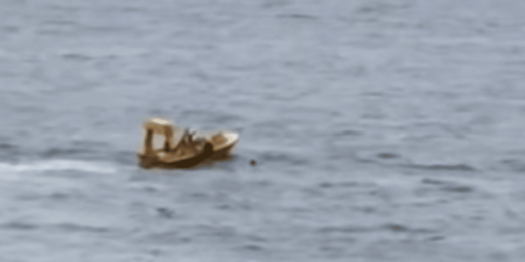 Dramático rescate de un padre y su hija tras caer al agua desde el balcón de un crucero en Florida