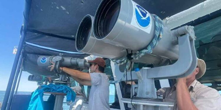 científicos buscan estimar población en peligro crítico