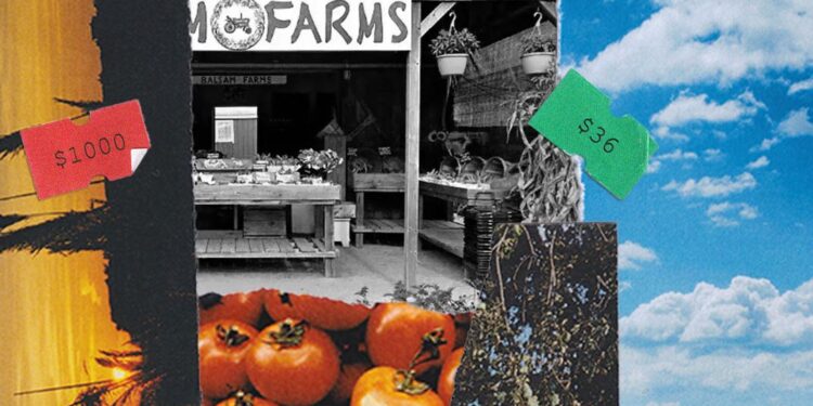 The Bougie Farm Stands and Markets Of The Hamptons, Explained