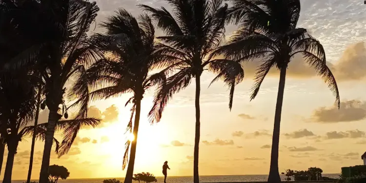 Mexicanos ya no quieren visitar Estados Unidos durante sus vacaciones - El Sol de Toluca