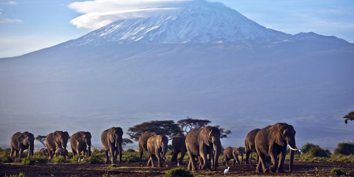 Los quince lugares más bonitos que ver en África