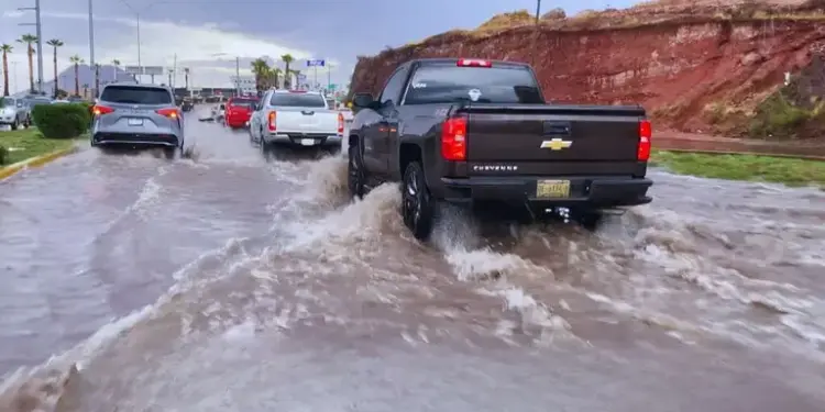¿Por que el Mercado Sonora se llama asi
