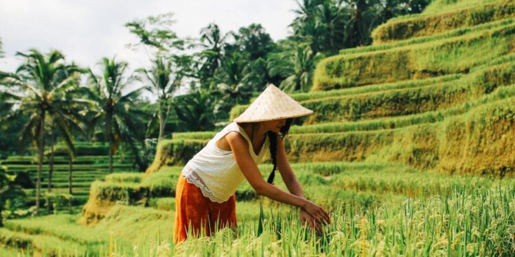 ofertas de última hora para este verano