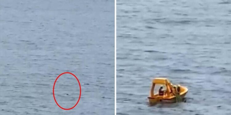 Héroe: Padre saltó desde crucero para salvar a su hija