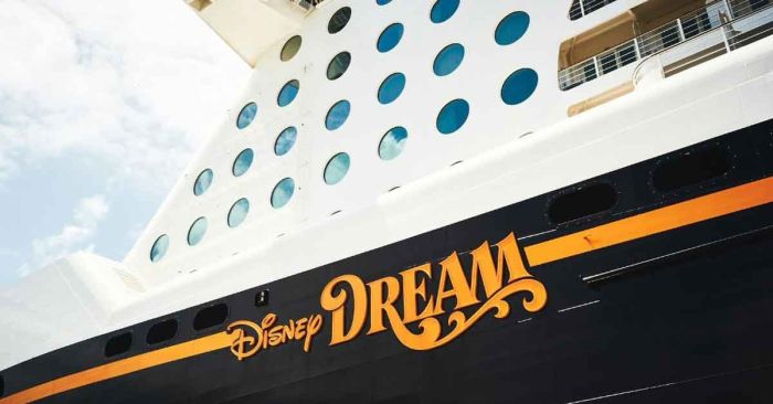 Salta padre del crucero de Disney para rescatar a su hija de 5 a&ntilde;os