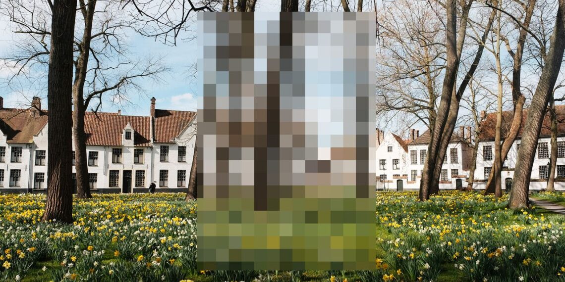 Dejé que agentes de IA planificaran mis vacaciones y no fue como pensé