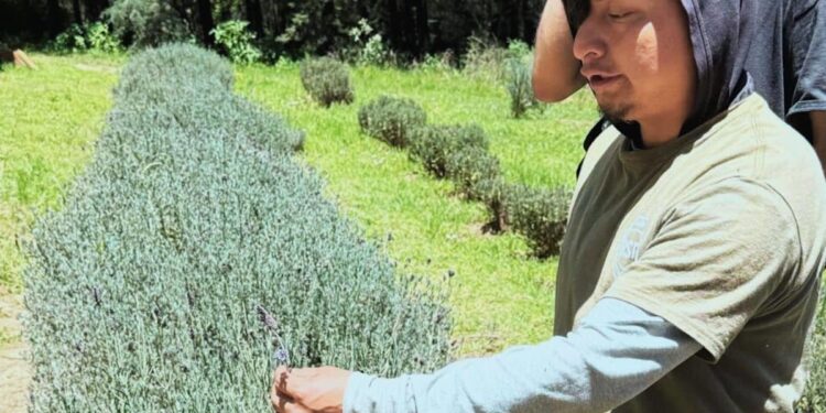 Puebla está en el top 10 mundial de destinos sostenibles y ya entendí por qué