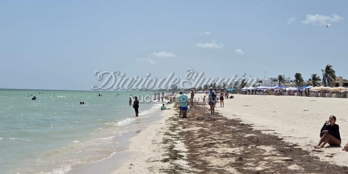 Jornada de crucero activa economía en Progreso