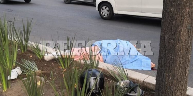 Pide diputada suspender viajes en mototaxi y crear norma