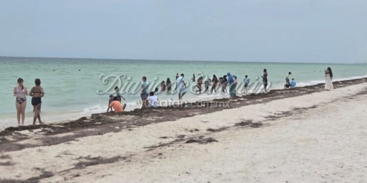 Moderada jornada turística en Progreso tras arribo de crucero