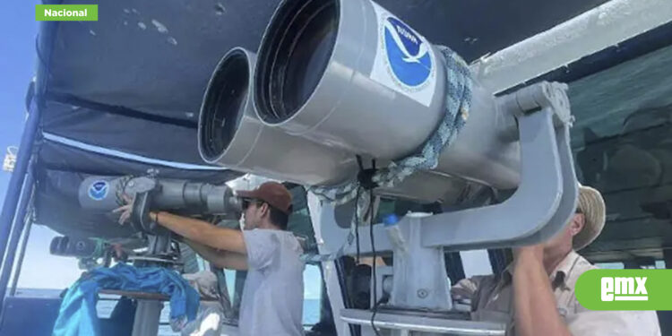 Zarpará el Crucero Vaquita Marina en busca de los último...