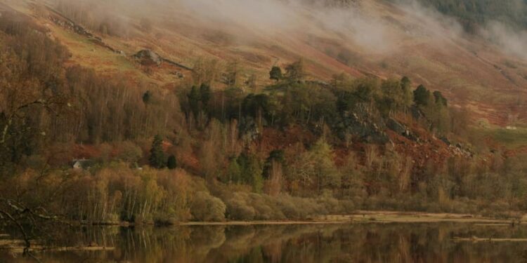 7 Best Places to Travel in Fall, from Upstate Cabins to French Vineyards