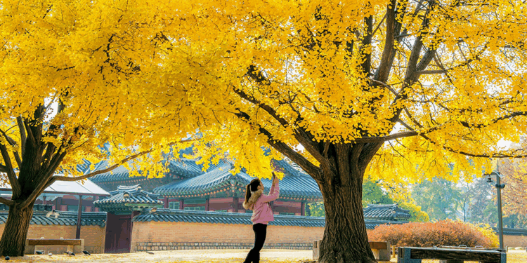 Vietnam.vn - Nền tảng quảng bá Việt Nam