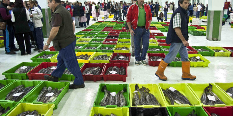 los cruceros crecen y la pesca no para de caer