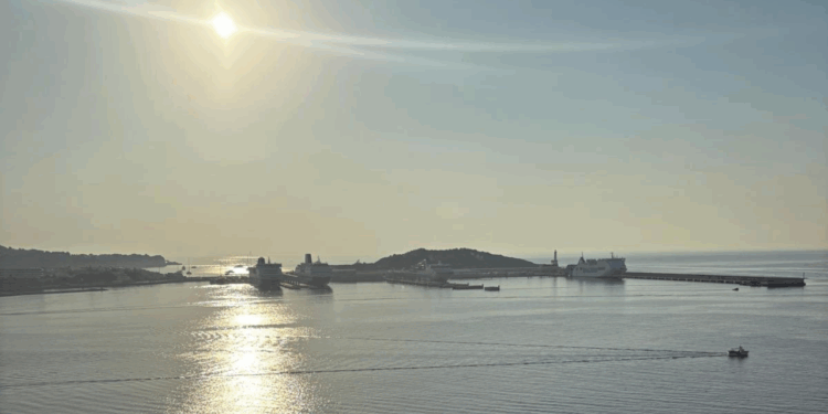 Cruceros en el Puerto de Ibiza