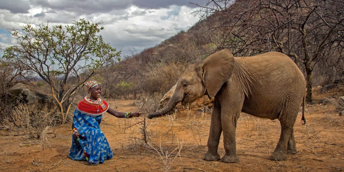 Prints for Wildlife returns with ‘Edition Hope’ to call attention on environmental protection