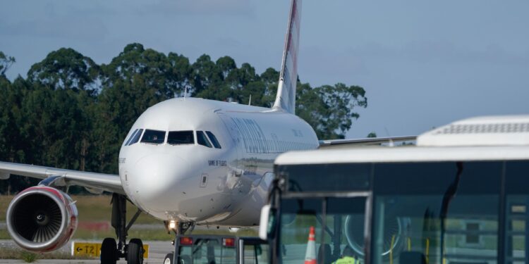 Las razones por las que un animal de gran tamaño puede viajar en la cabina de un avión