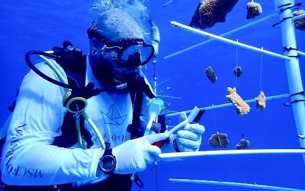 División de Cruceros del Grupo MSC publica Informe de Sostenibilidad