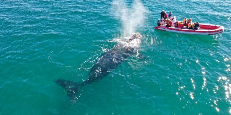 El Travel Sale 2025 ya tiene fecha y promete ofertas y cuotas sin interés para viajar