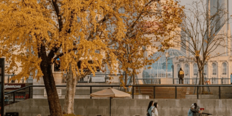 Vietnam.vn - Nền tảng quảng bá Việt Nam