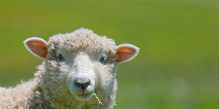 Condé Nast Traveler