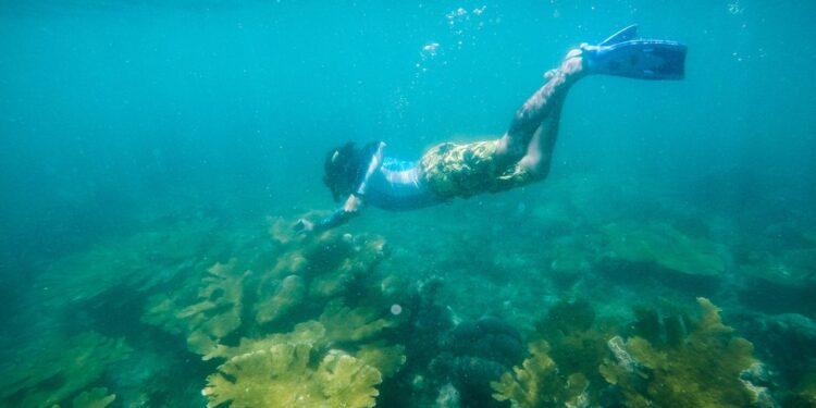 Estos son los 5 mejores lugares para bucear en Costa Rica