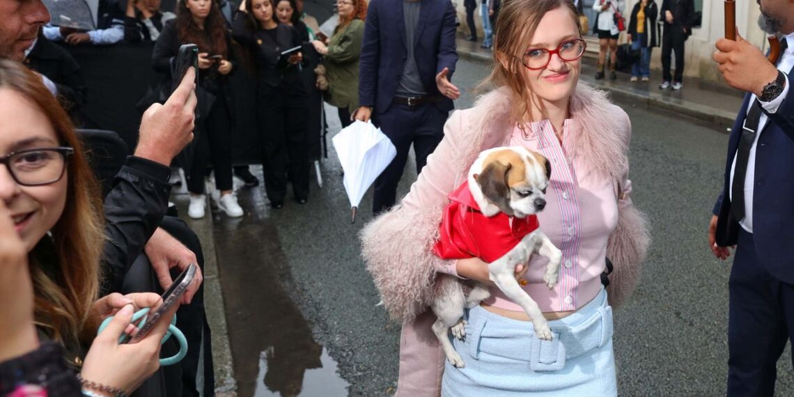 The Dogs of Street Style
