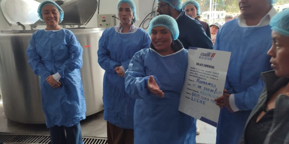 Productores de Tahualag, en Chimborazo, venden leche de calidad al Grupo Gloria Foods