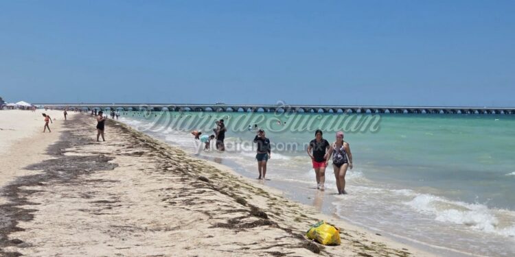 Progreso concluye el mes con crucero y se alista para ocho arribos en agosto
