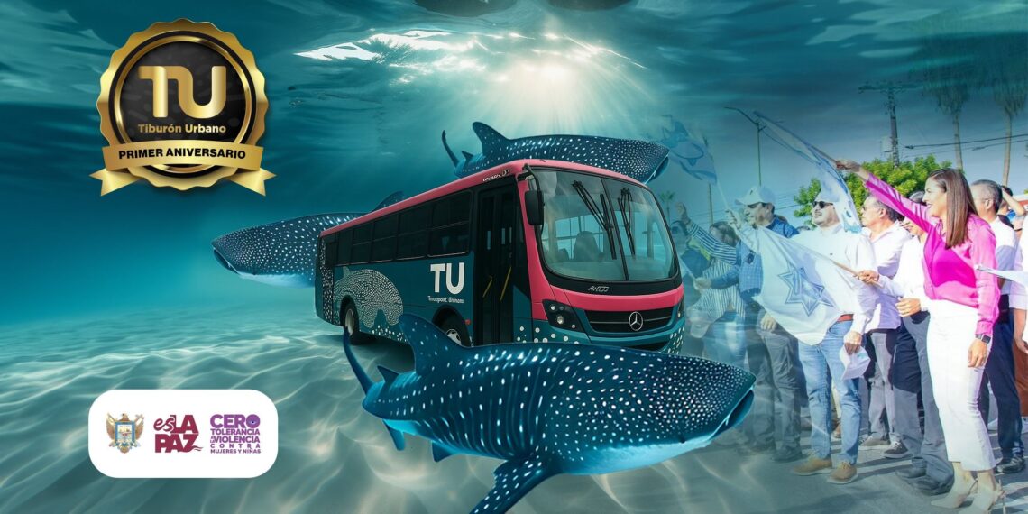 Registra Tiburón Urbano más de 100 mil viajes mensuales en su primer año