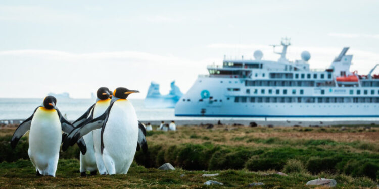 Seis monedas distintas para viajes a la Antártida