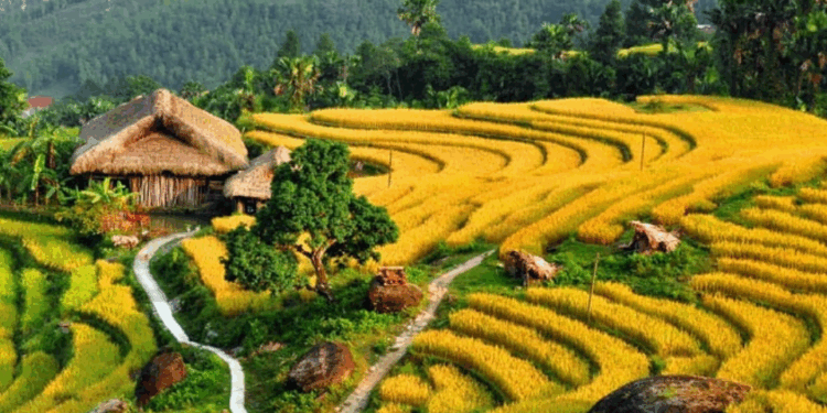 Vietnam.vn - Nền tảng quảng bá Việt Nam