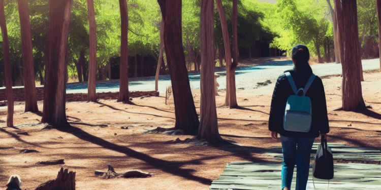 Economía/Turismo.- Gebta impugna el concurso público de agencias de viajes de la Administración del Estado