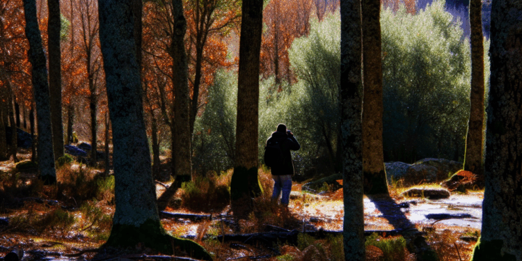 El pueblo más bonito al que viajar este noviembre está en Extremadura y es pura resistencia forestal