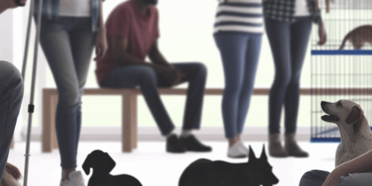 La compañía de nuestras mascotas es el mejor antídoto contra el estrés, según expertos