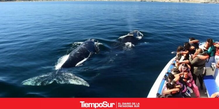 Madryn, Calafate y Ushuaia se unen en Córdoba para potenciar el corredor aéreo