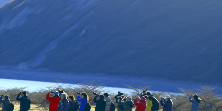 Operadores turísticos y agentes de viajes de China recorrieron distintos atractivos de Ushuaia