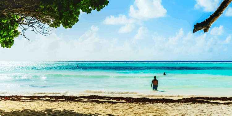 Agentes de viajes centroamericanos destacan la belleza y tranquilidad de Puerto Morelos