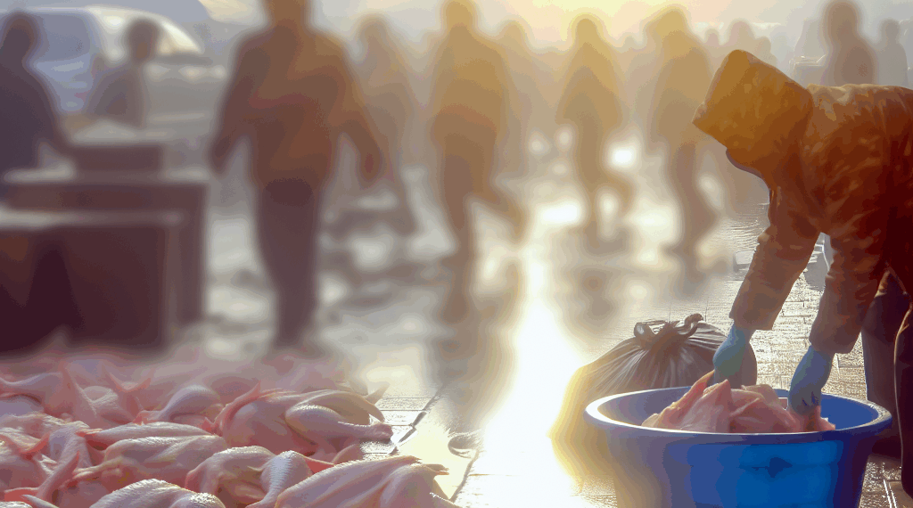 Imagen de la etiqueta de los muslos de pollo sacados del mercado por Hormel Foods.