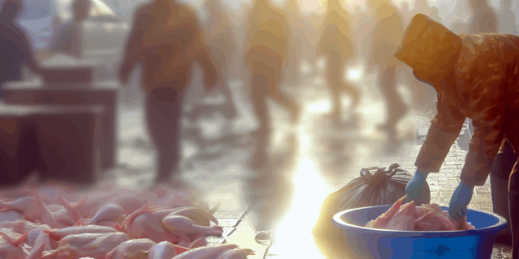 Imagen de la etiqueta de los muslos de pollo sacados del mercado por Hormel Foods.