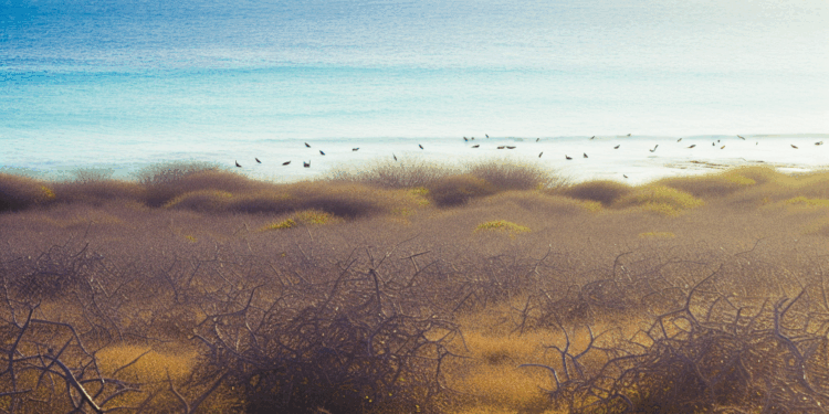 Viaje a las Galápagos por mar y por tierra