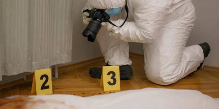 esto se sabe de los supuestos viajes que habrían hecho millonarios extranjeros para asesinar civiles en Sarajevo