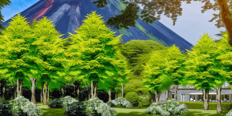 volcanes que duermen bajo un manto de hayas y "mesas con estrellas Michelin que miran al huerto"