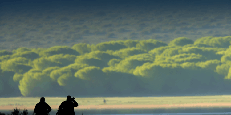 Un momento del encuentro