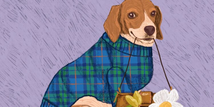 Horóscopo de Géminis para noviembre 2025: Las predicciones de este mes para tu signo zodiacal